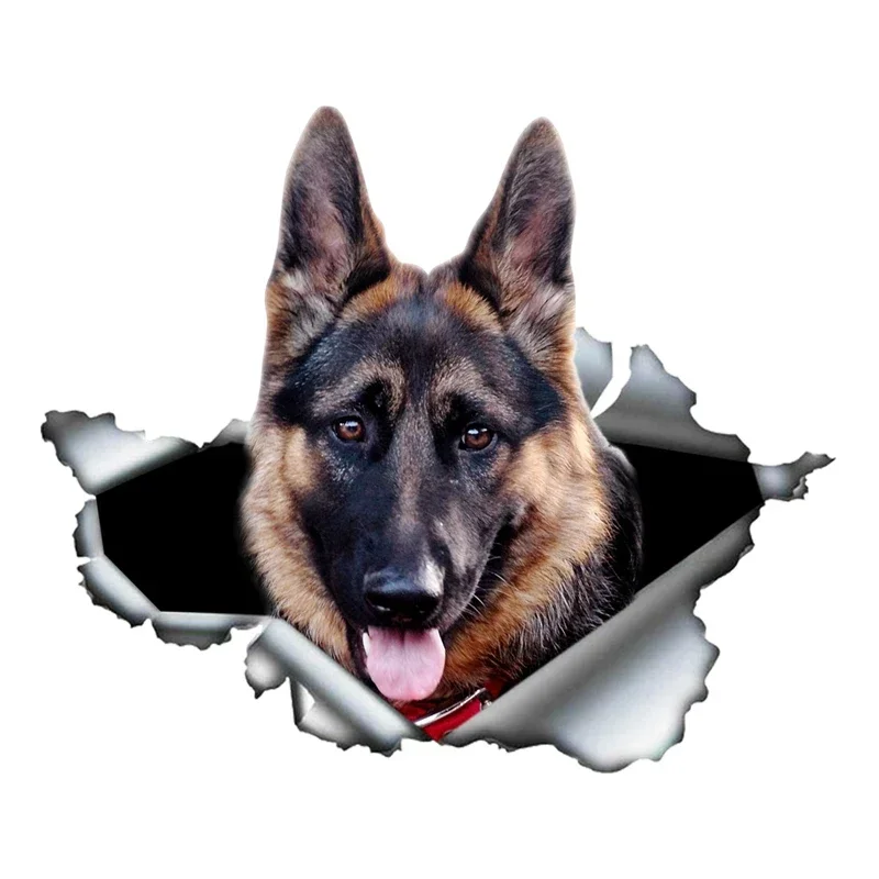 Weight Plate Bumper - Car Sticker Self-adhesive 3D Decal German