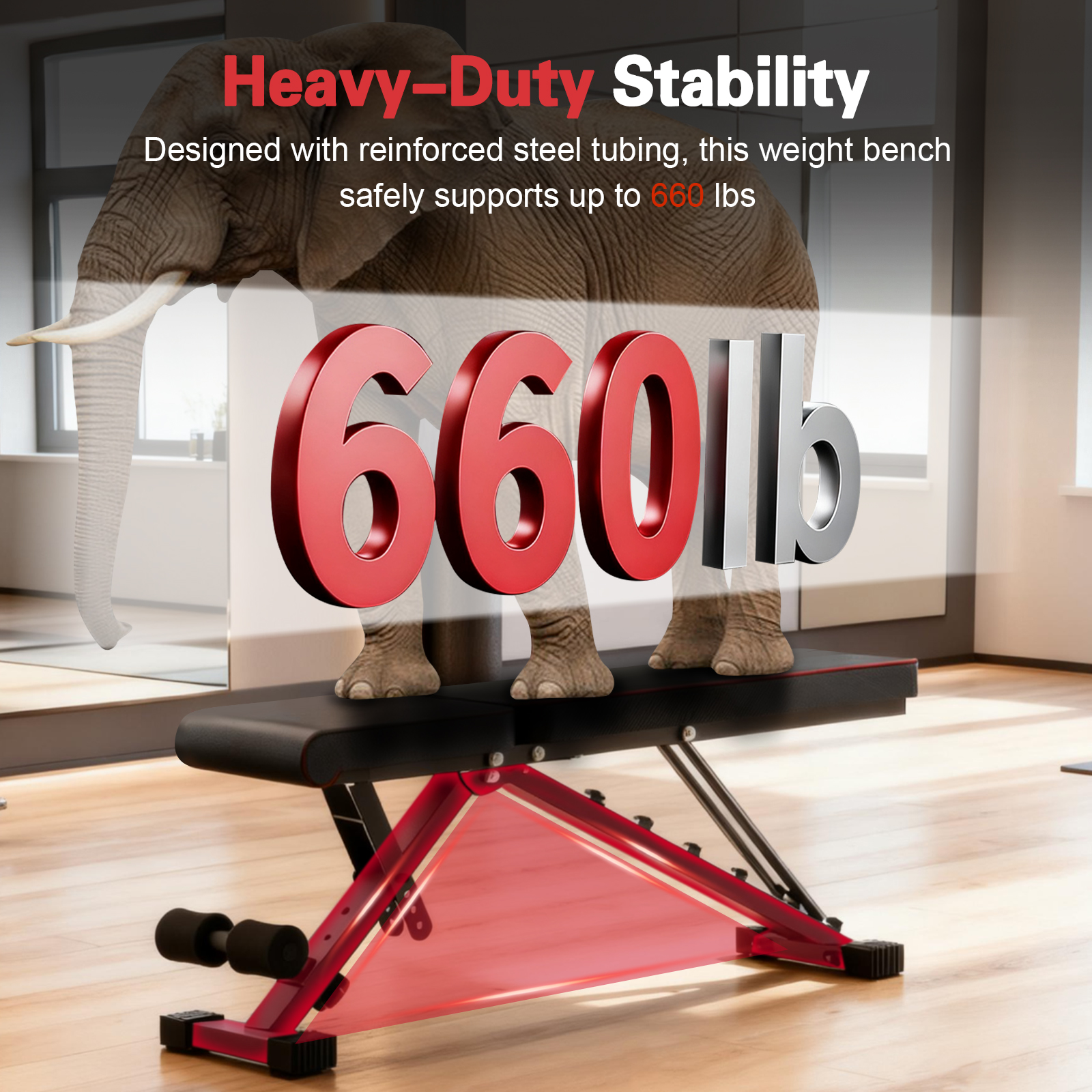 Multifunctional Dumbbell Bench - Home Gym Needs review and price
