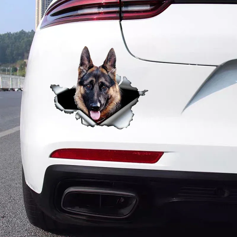 Car Sticker Self-adhesive 3D D - Weight Plate Bumper review and price