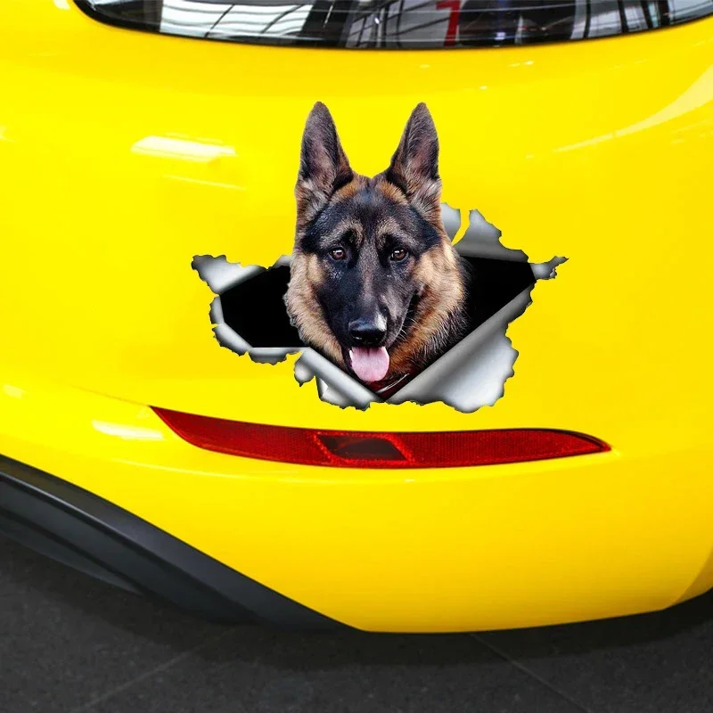 Car Sticker Self-adhesive 3D D - Weight Plate Bumper review and price