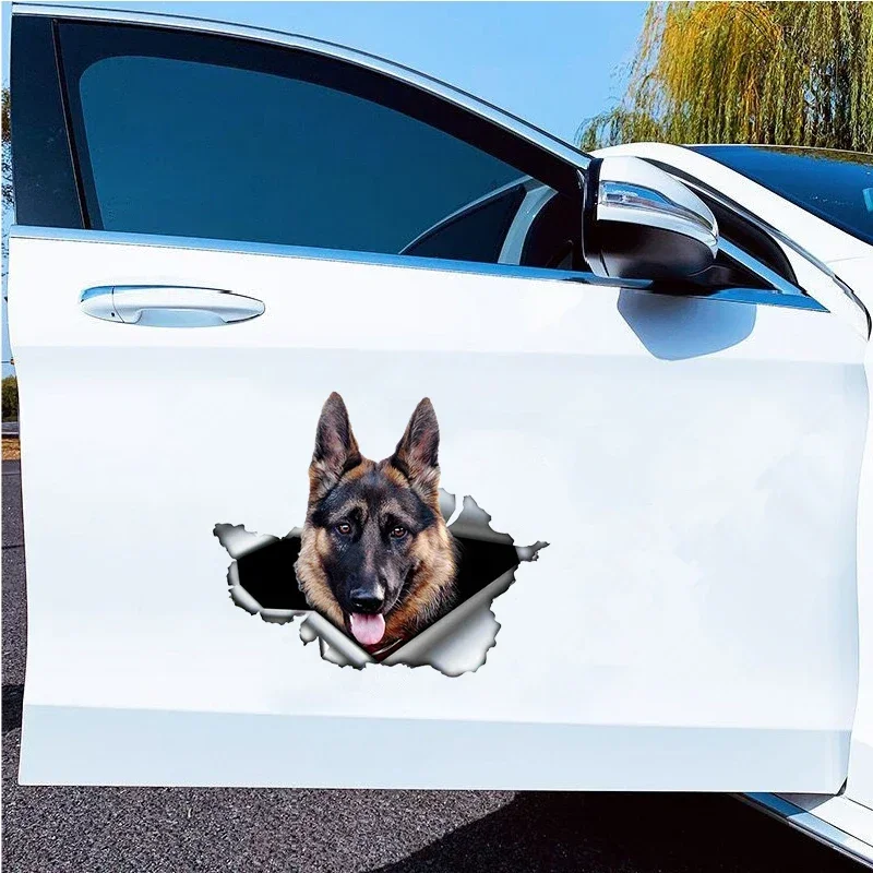Car Sticker Self-adhesive 3D D - Weight Plate Bumper review and price