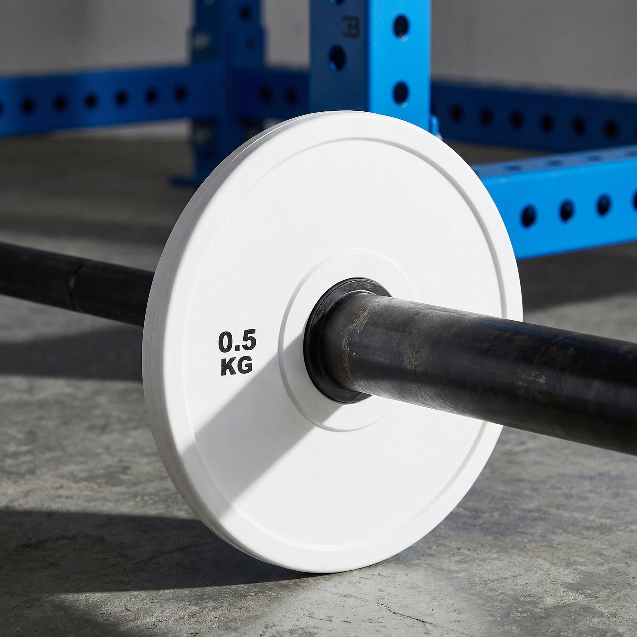 2Pcs Rubber Coated Barbell Pla - Weight Plate Bumper review and price