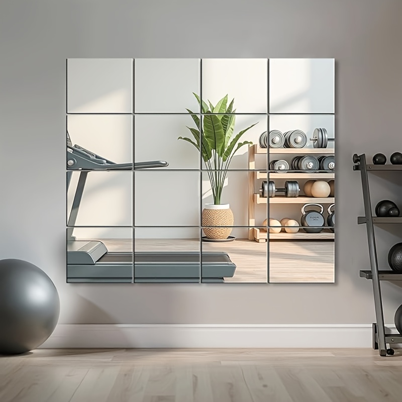 Bandwagon 2mm Acrylic Mirror S - Home Gym Needs review and price