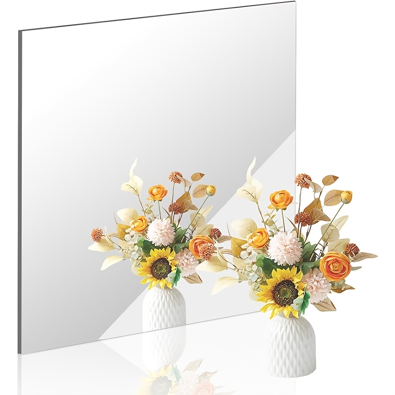 Bandwagon 2mm Acrylic Mirror S - Home Gym Needs review and price